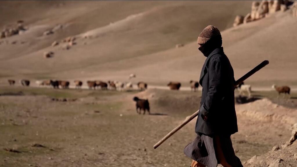 Афганистан переживает гуманитарный кризис.